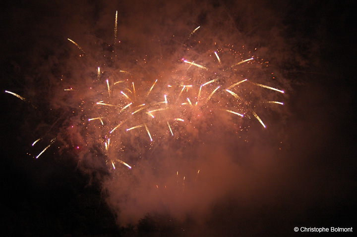 Feu_S_Remy (41)