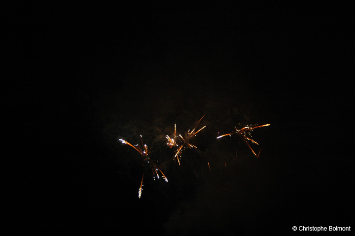 Feu_S_Remy (49)