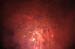 Feu_S_Remy (33)