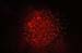 Feu_S_Remy (57)