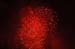 Feu_S_Remy (58)